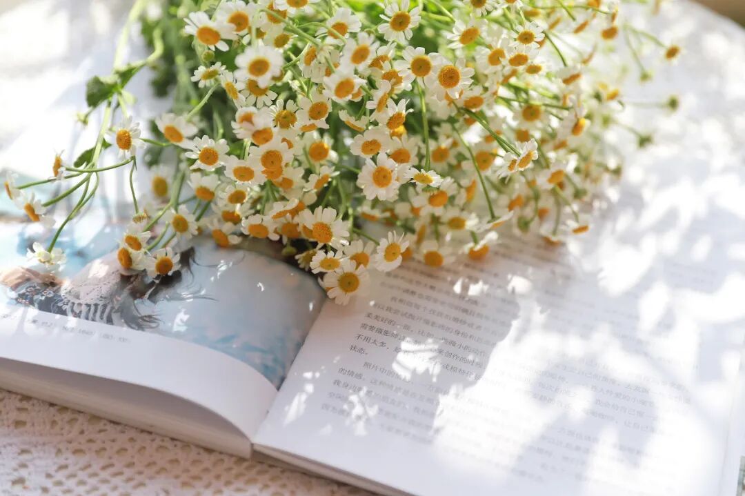这种花竟是天然“消炎药”!还能助降糖抗敏、改善睡眠… 这种花竟是天然“消炎药”!还能助降糖抗敏、改善睡眠…