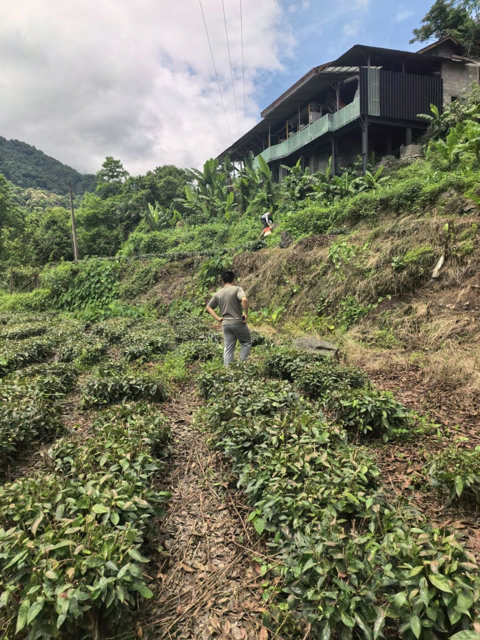 记者跟随石门壶瓶山镇干部徒步十多公里挺进“失联”村：信号到不了的地方，脚走到了