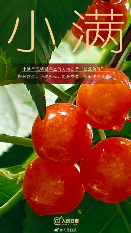 今日，小满遇上521