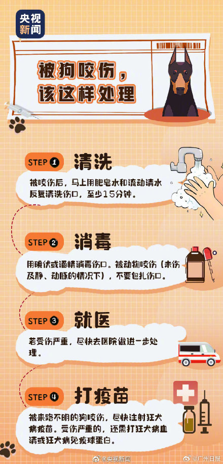 转发提醒！被狗咬伤该怎么办？抓住黄金15分钟清洗伤口！