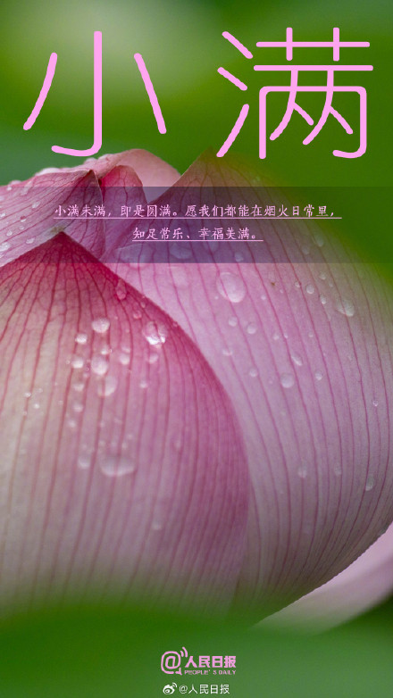 今日，小满遇上521