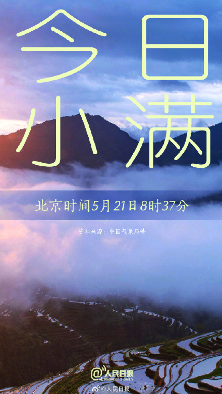 今日，小满遇上521
