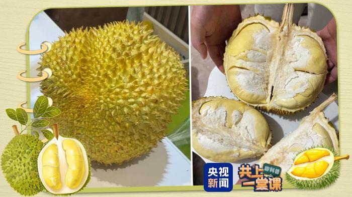 近期可能还要降价！关于榴莲的消费提示