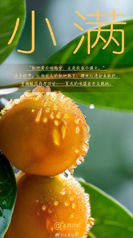 今日，小满遇上521