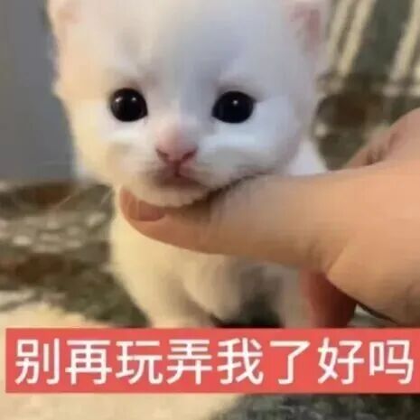 在家养牛养大雁，玩真人版“QQ农场”，农场主：我的金币呢！！
