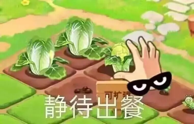 在家养牛养大雁，玩真人版“QQ农场”，农场主：我的金币呢！！
