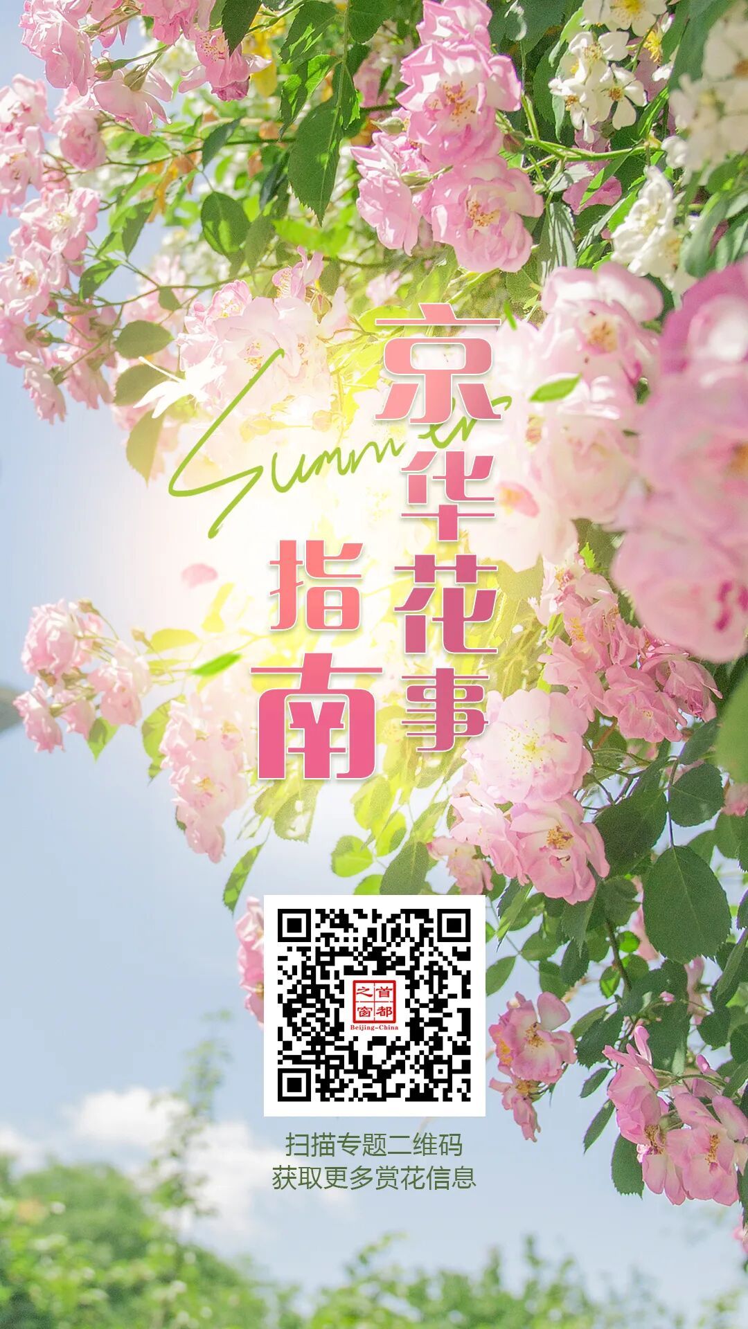 夏日“顶流”!北京这几处蔷薇花墙,出片率100% 夏日“顶流”!北京这几处蔷薇花墙,出片率100%