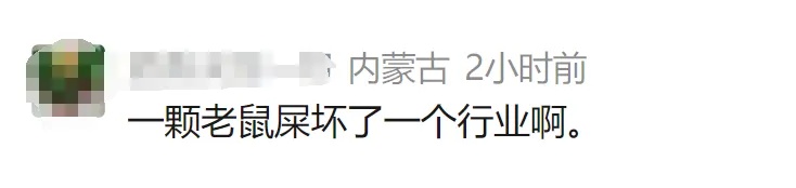 “泡药杨梅”全部销毁,此前销往江浙沪!记者探访上海农产品批发市场:商贩现场吃杨梅 “泡药杨梅”全部销毁,此前销往江浙沪!记者探访上海农产品批发市场:商贩现场吃杨梅