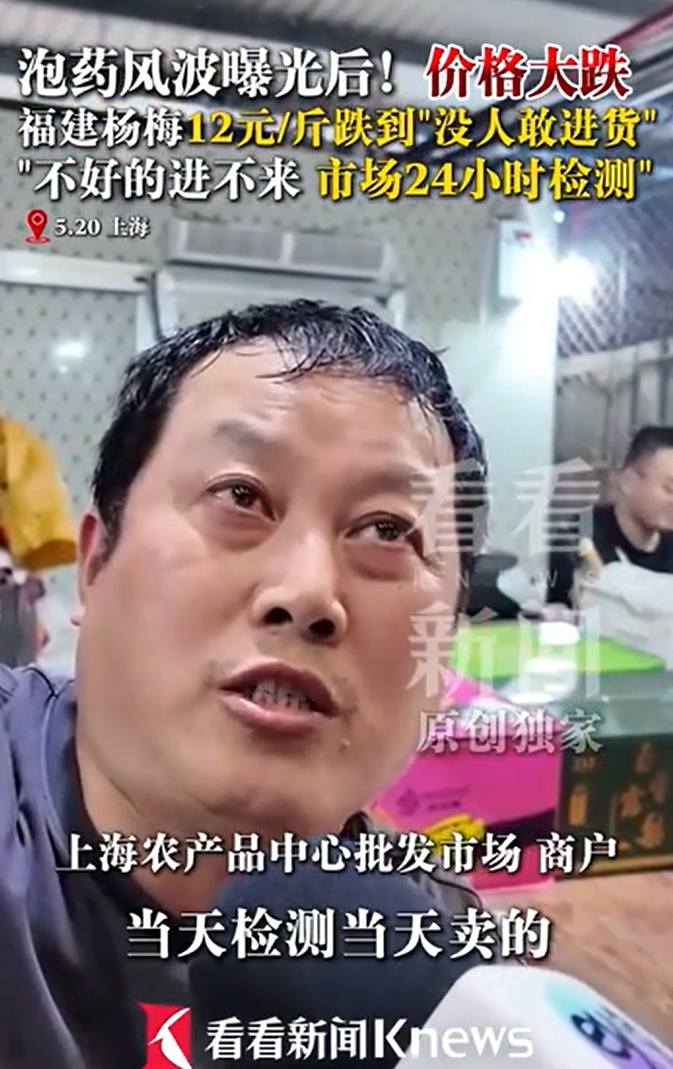 540公斤“泡药杨梅”全部销毁!此前销往江浙沪!上海商户发声 540公斤“泡药杨梅”全部销毁!此前销往江浙沪!上海商户发声