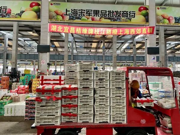 价格大跳水、订单断崖式下滑!批发商:行情很差,降价了也不好卖 价格大跳水、订单断崖式下滑!批发商:行情很差,降价了也不好卖