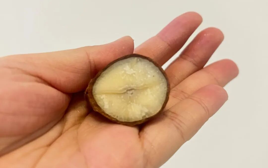 水果界的“阳气之王”,吃对了温补肾阳不上火,但千万别和它同吃,堪比服毒,能要命 水果界的“阳气之王”,吃对了温补肾阳不上火,但千万别和它同吃,堪比服毒,能要命