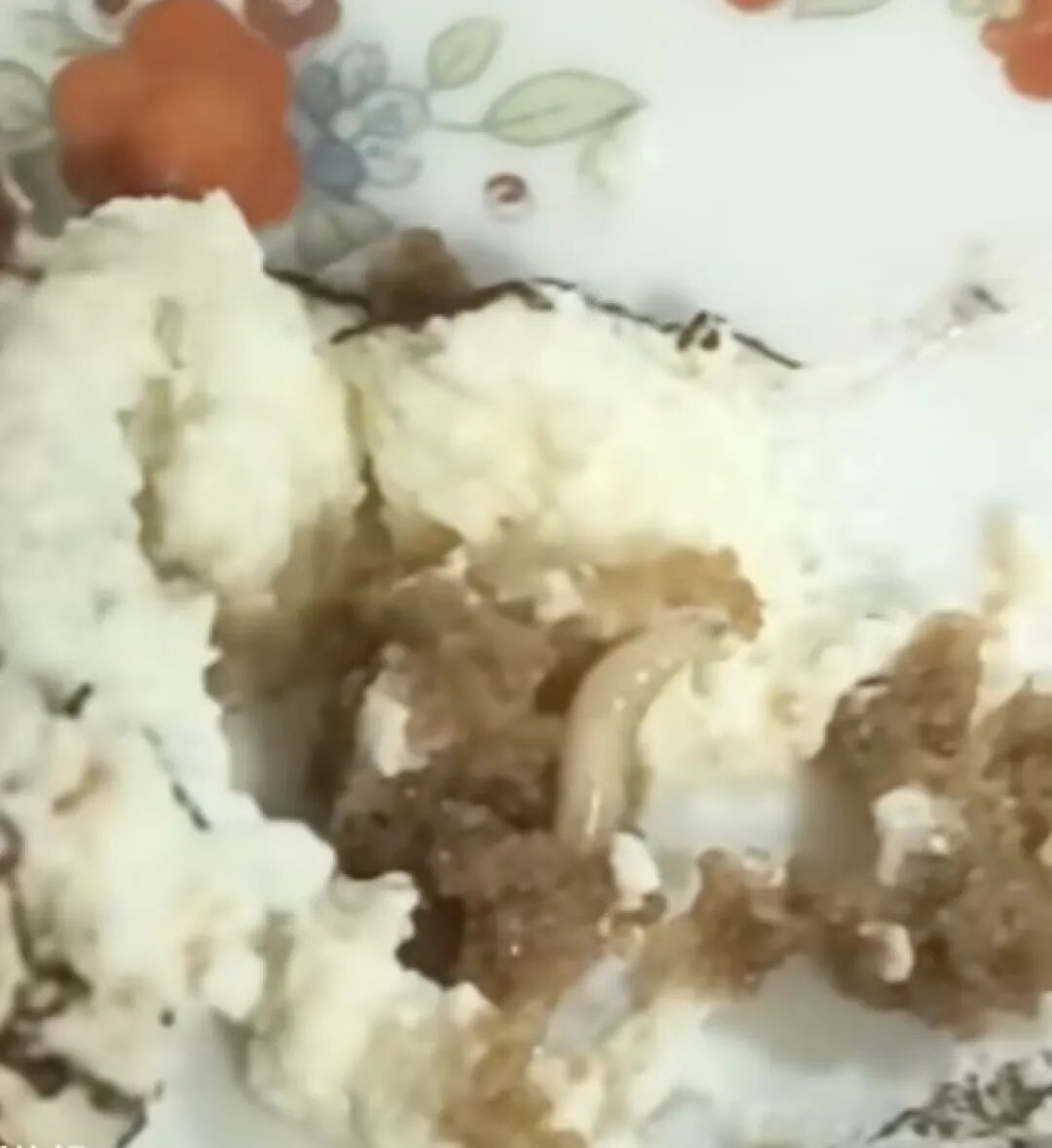 孩子吃出正在蠕动的白色虫子！北京一盒马鲜生蛋糕中吃出蛆虫，门店上门提出赔偿
