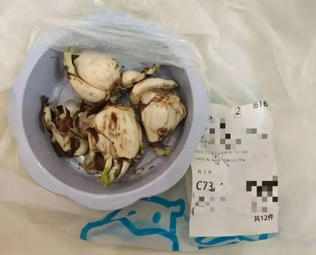 孩子吃出正在蠕动的白色虫子！北京一盒马鲜生蛋糕中吃出蛆虫，门店上门提出赔偿
