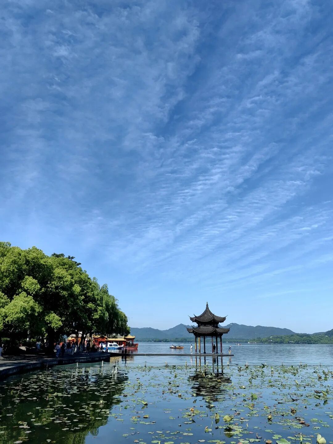 暴雨，10级雷暴大风！全面影响浙江，杭州马上大反转：这波太凶了