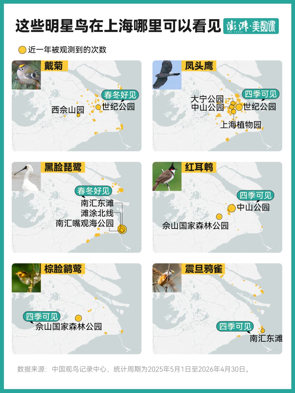 上海“在册”野鸟已增至543种，为何能领跑全球特大城市