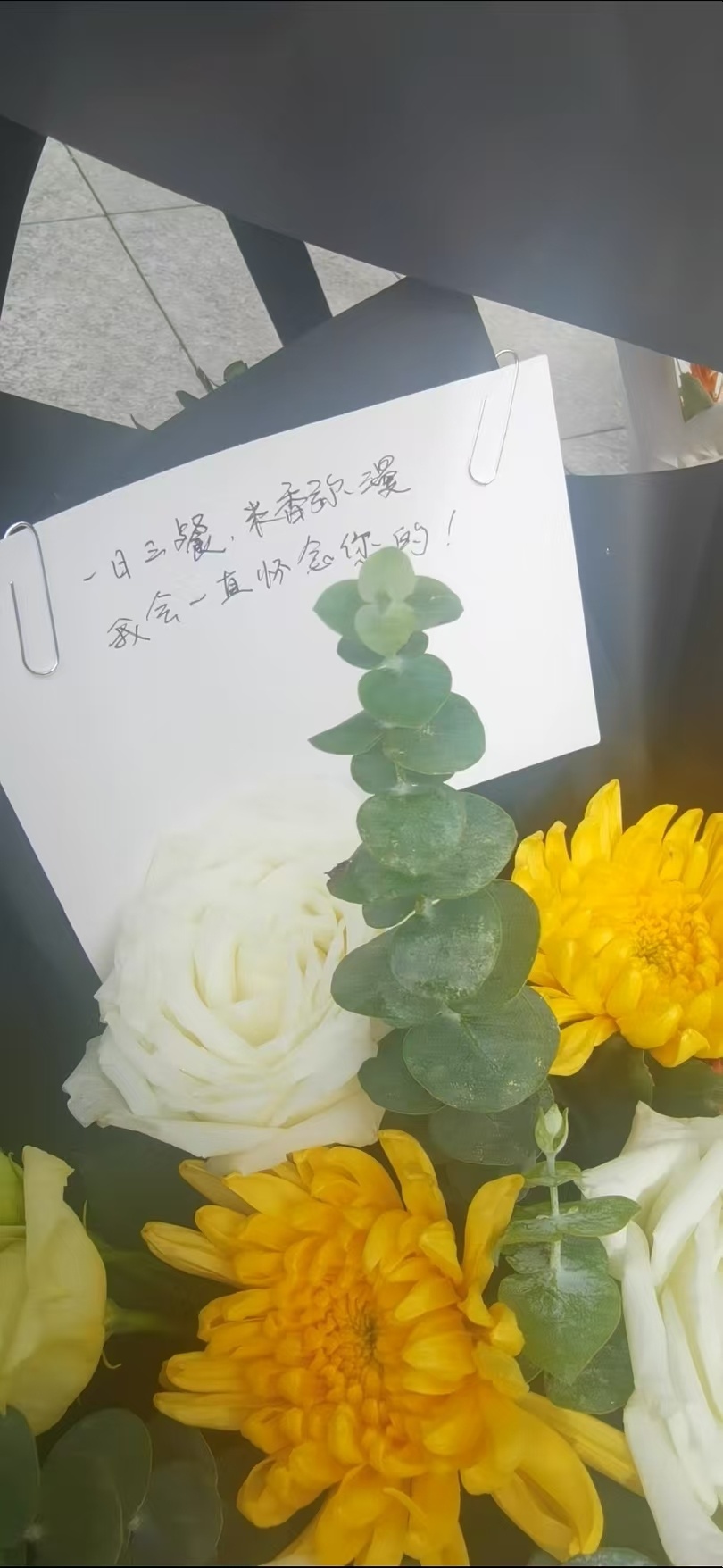 袁隆平逝世五周年，墓前摆满稻穗，侄子献上22朵向日葵，00后外卖员连夜赶来长沙