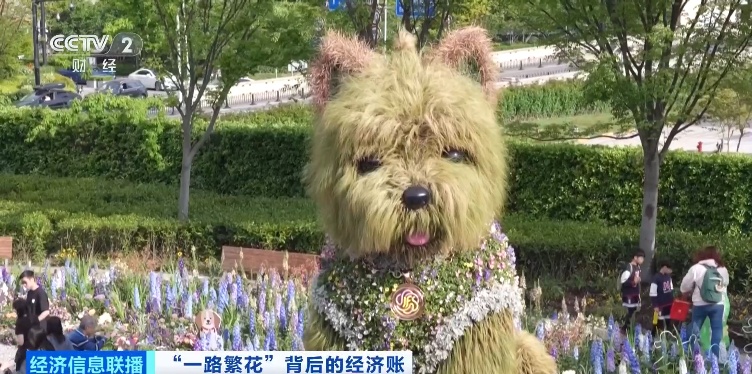 一只潦草小狗，带火20亿元商圈