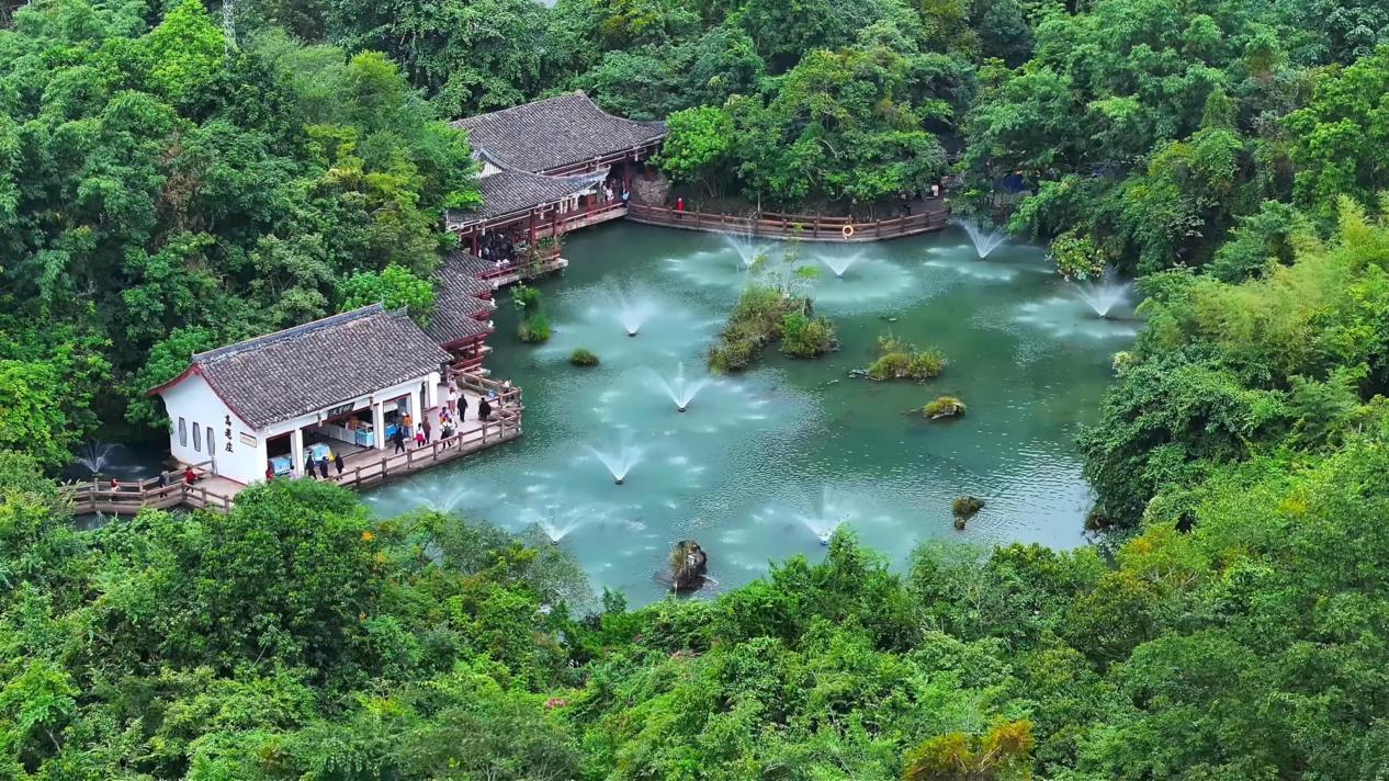 湘渝粤银发族扎堆贵州安顺 看21℃小城如何变“流量”为“留量”