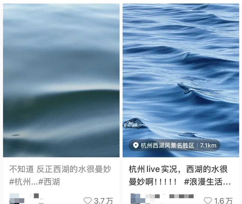 “西湖的水怎么‘肥’成这样！”网友：到底加了啥？官方解答