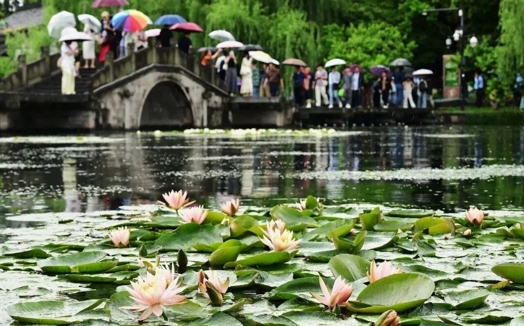 暴雨，10级雷暴大风！全面影响浙江，杭州马上大反转：这波太凶了