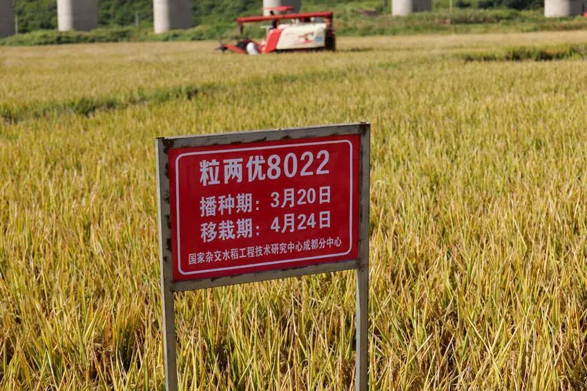 为什么每年今天，我们都会想起他？