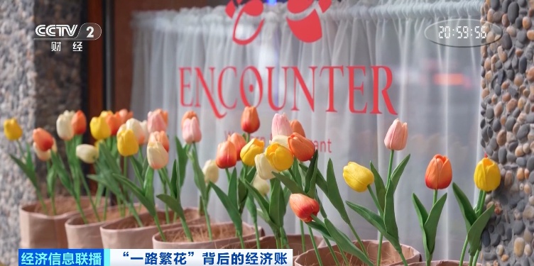 一只潦草小狗，带火20亿元商圈