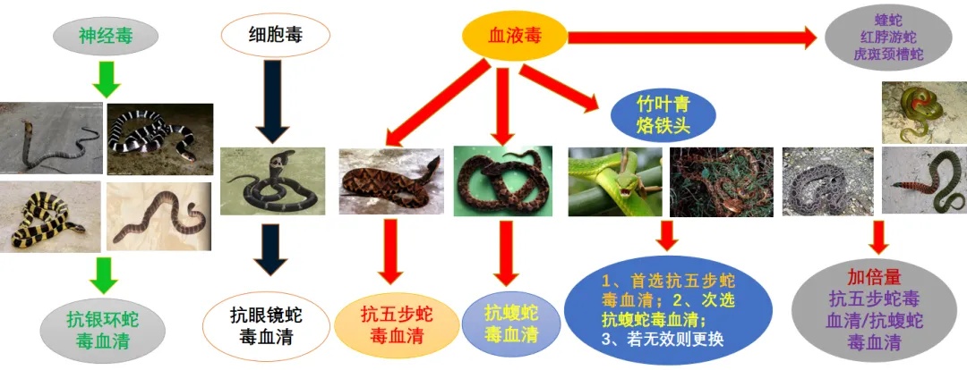 一周内12起！北京这个区有蛇出没，请小心