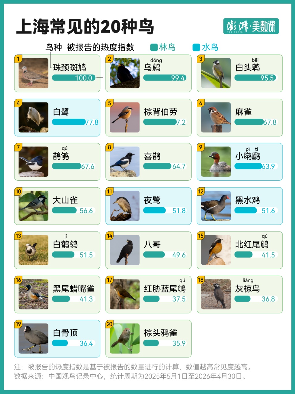 上海“在册”野鸟已增至543种，为何能领跑全球特大城市