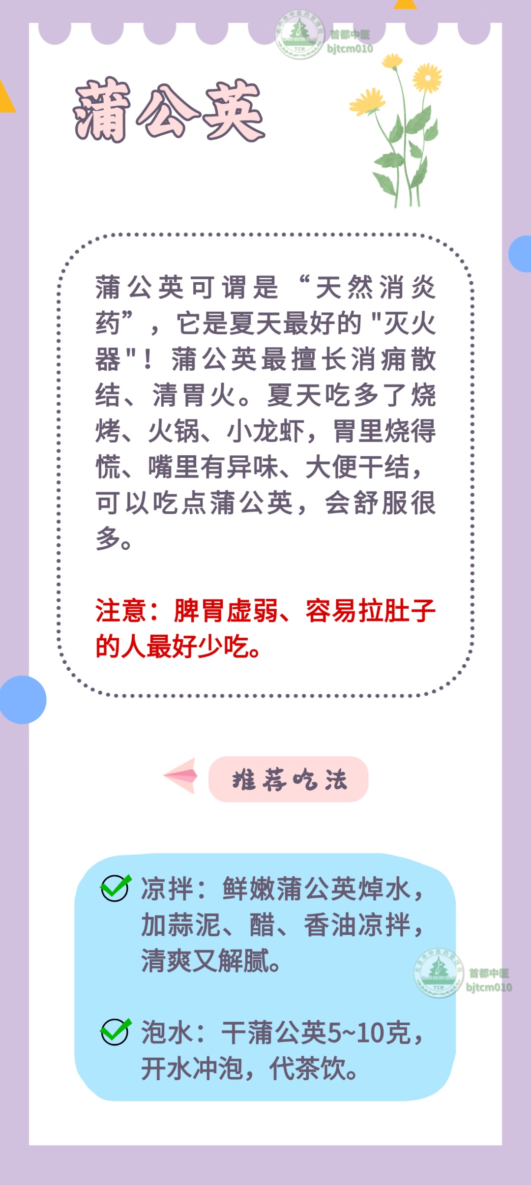 “最下火”的5种菜,清心火、消内热,简单一做,清热又安神 “最下火”的5种菜,清心火、消内热,简单一做,清热又安神