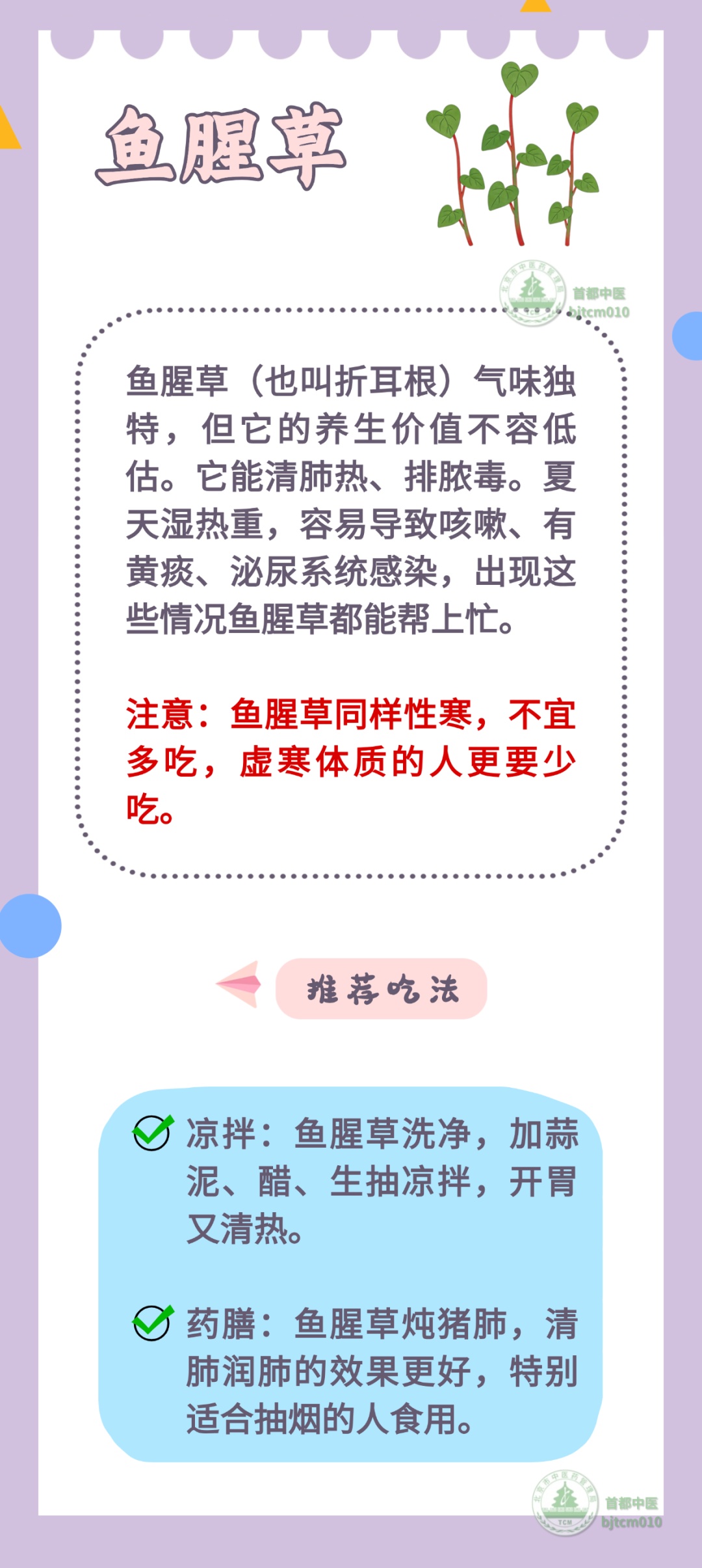 “最下火”的5种菜,清心火、消内热,简单一做,清热又安神 “最下火”的5种菜,清心火、消内热,简单一做,清热又安神