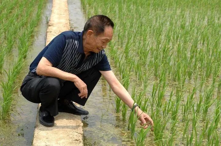 为什么每年今天，我们都会想起他？