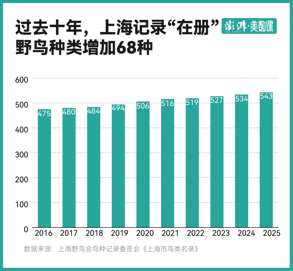 上海“在册”野鸟已增至543种，为何能领跑全球特大城市