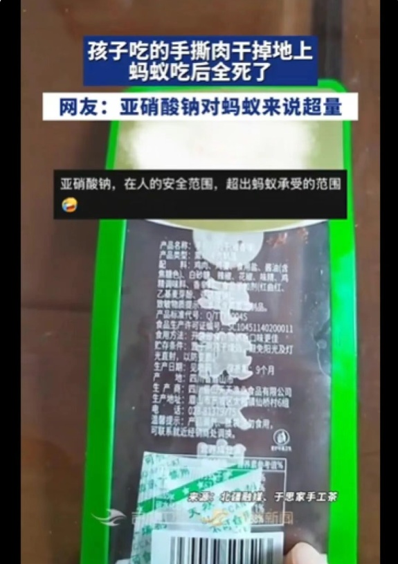 孩子吃的手撕肉干掉地上，蚂蚁吃完集体死亡！配料表引热议