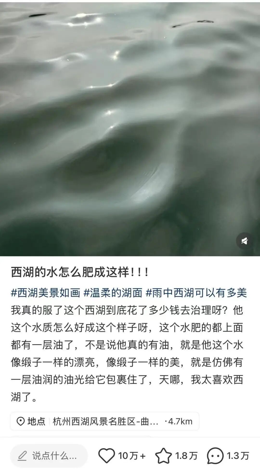 “西湖的水怎么‘肥’成这样！”网友：到底加了啥？官方解答