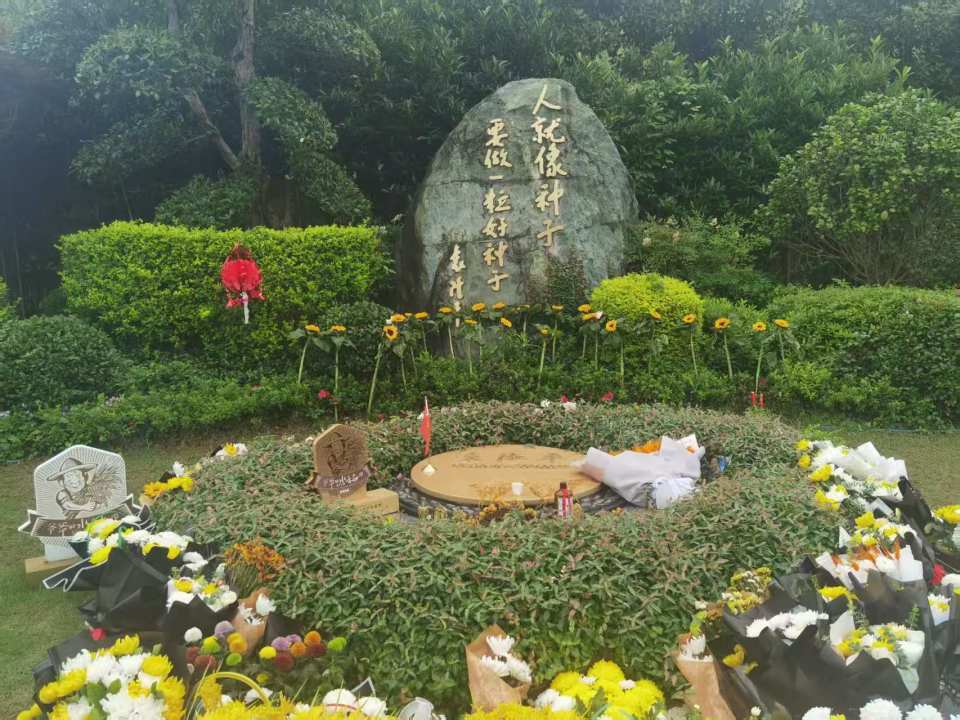 袁隆平逝世五周年，墓前摆满稻穗，侄子献上22朵向日葵，00后外卖员连夜赶来长沙