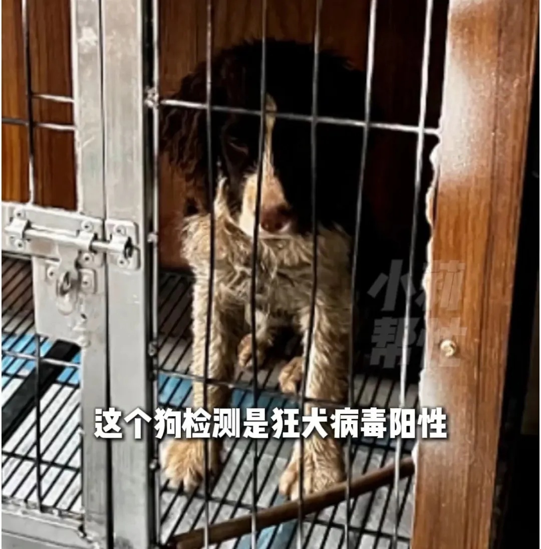 不能沉默！女孩突然去世！死亡率100%！从出现症状到死亡不到48小时…