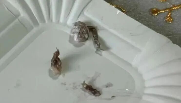 孩子吃出正在蠕动的白色虫子！北京一盒马鲜生蛋糕中吃出蛆虫，门店上门提出赔偿