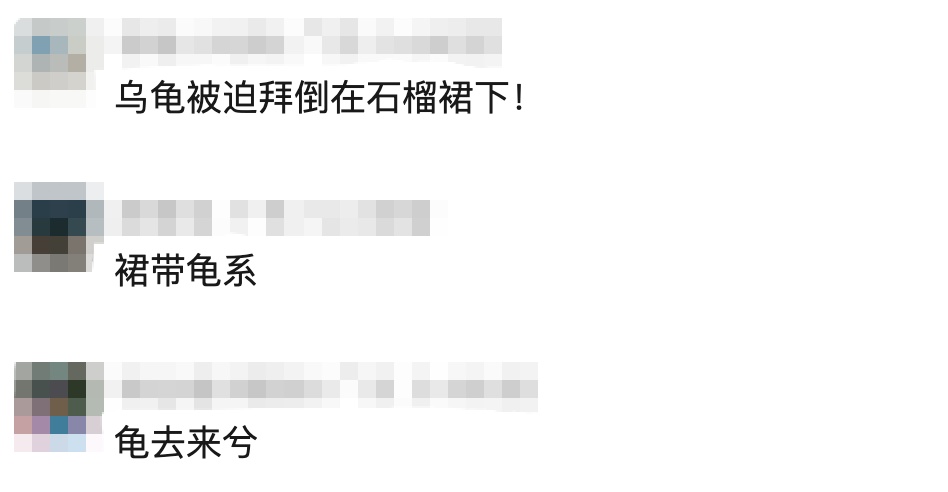 女子身上有腥臭味, 宽松裙子里竟绑了58只活的乌龟 画面曝光! 女子身上有腥臭味, 宽松裙子里竟绑了58只活的乌龟 画面曝光!