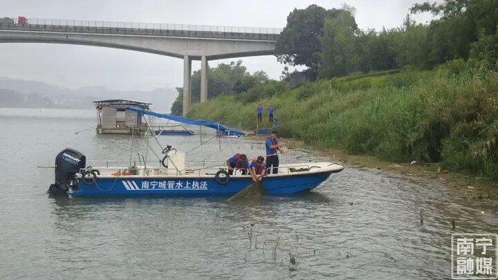 注意了!邕江流域开展禁渔巡查,将清理非法捕捞渔具 注意了!邕江流域开展禁渔巡查,将清理非法捕捞渔具