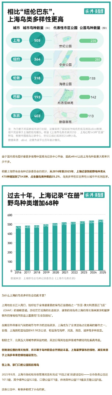 上海“在册”野鸟已增至543种，位居全球特大城市前列