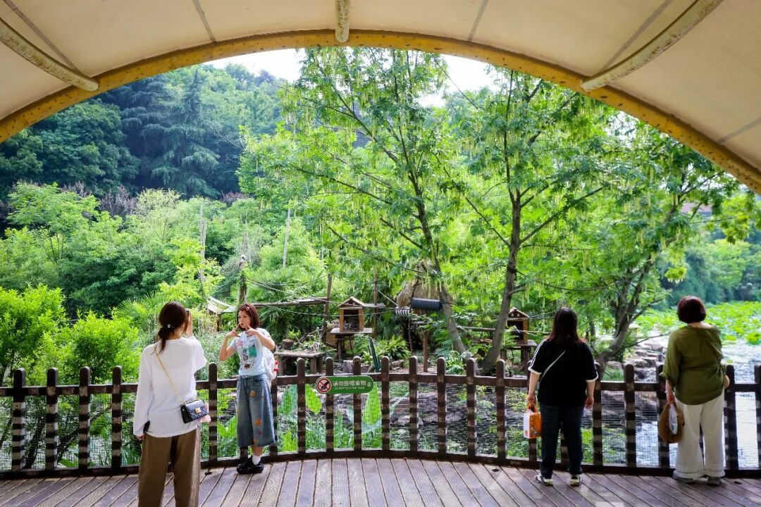 南京红山森林动物园,又增“新居民” 南京红山森林动物园,又增“新居民”