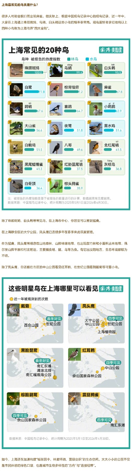 上海“在册”野鸟已增至543种，位居全球特大城市前列