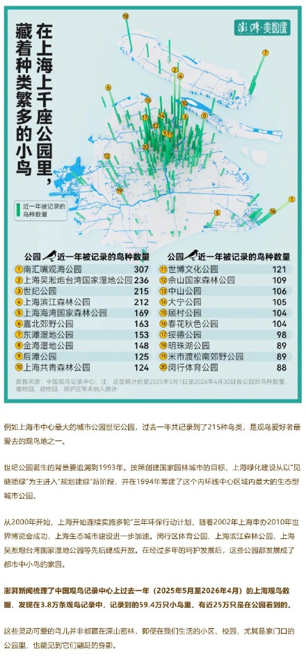 上海“在册”野鸟已增至543种，位居全球特大城市前列