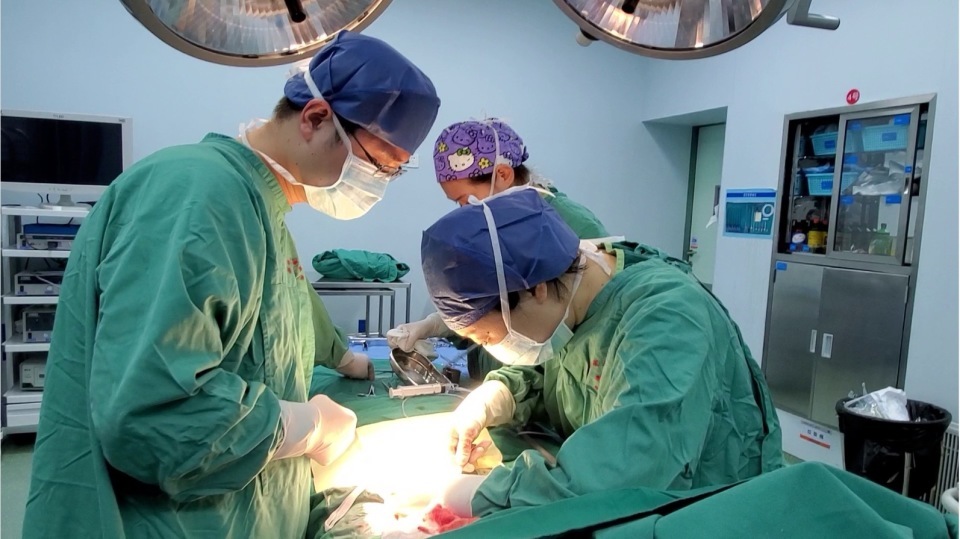 小肠仅留存13厘米，国内罕见！湖南最短小肠患儿成功获救