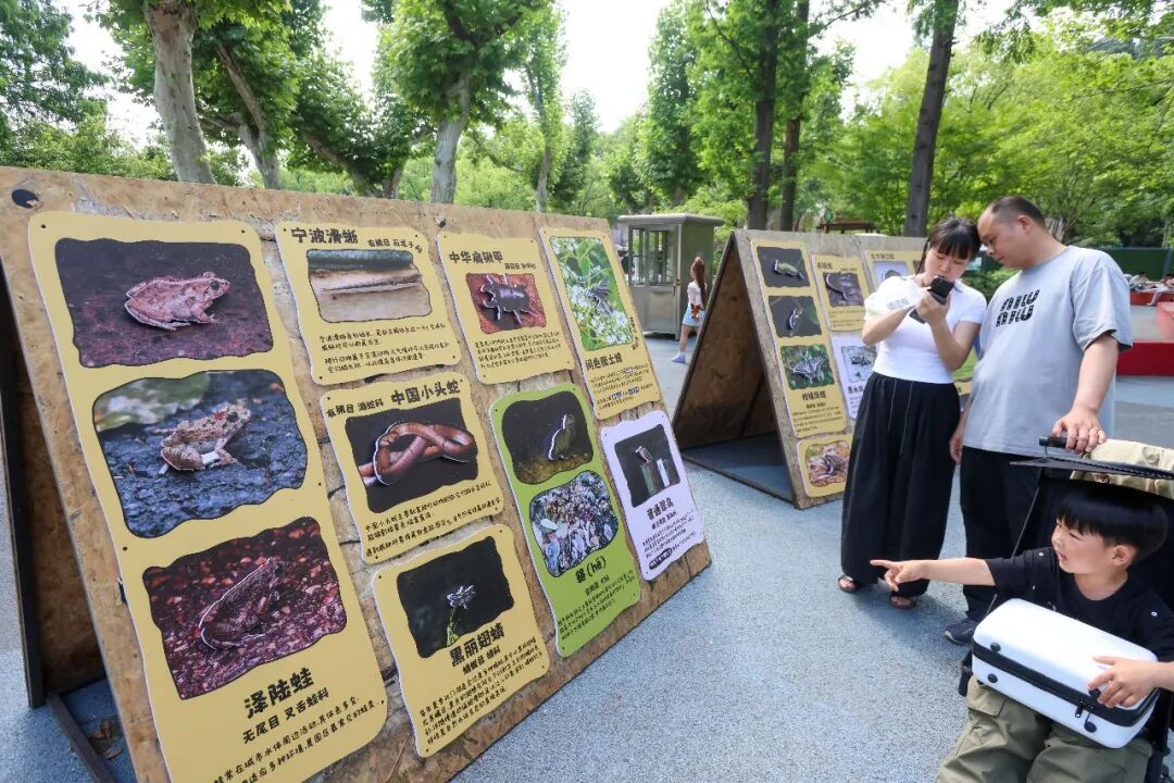 南京红山森林动物园,又增“新居民” 南京红山森林动物园,又增“新居民”