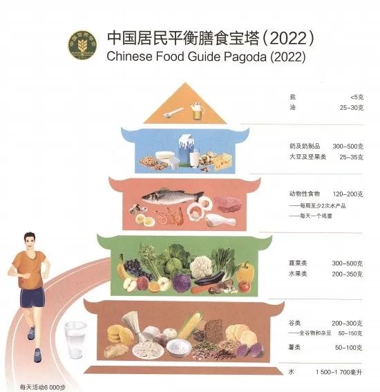 那些长期“控碳水”的人,后来怎样了? 那些长期“控碳水”的人,后来怎样了?