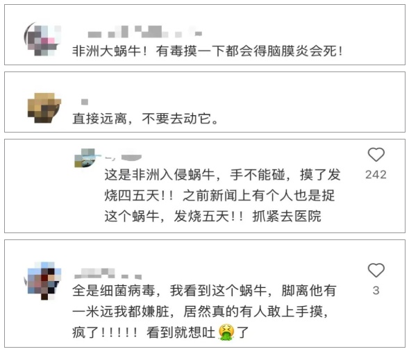注意!下雨后看到它,千万别碰 注意!下雨后看到它,千万别碰