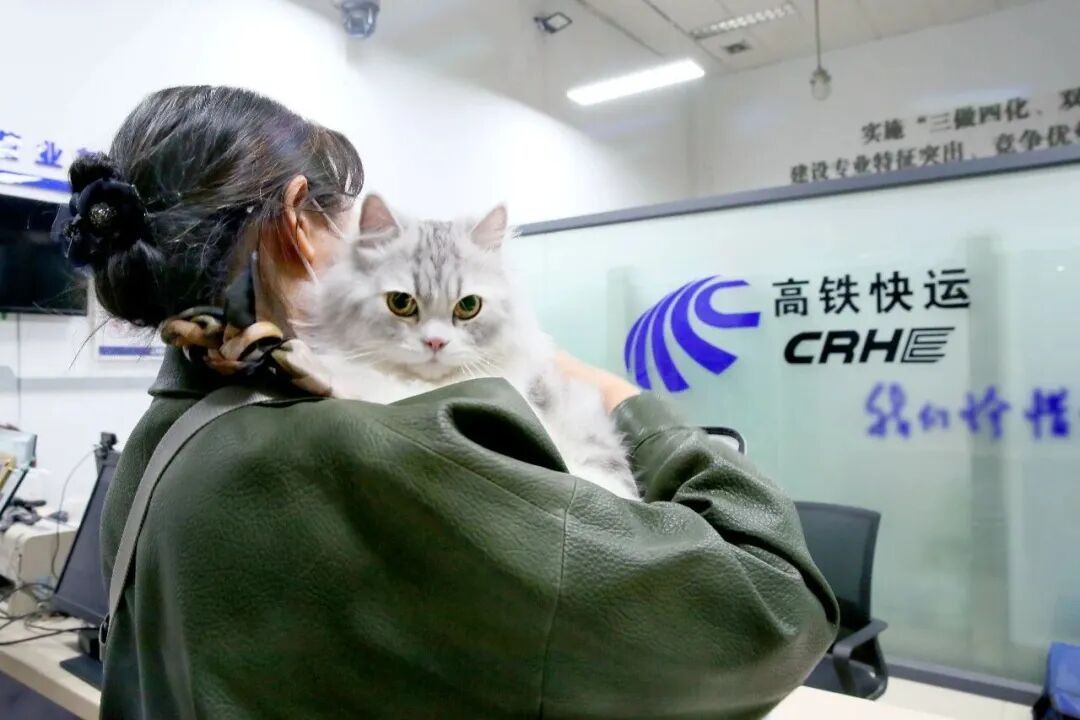 12306车次后好多彩色字，最全讲解来了