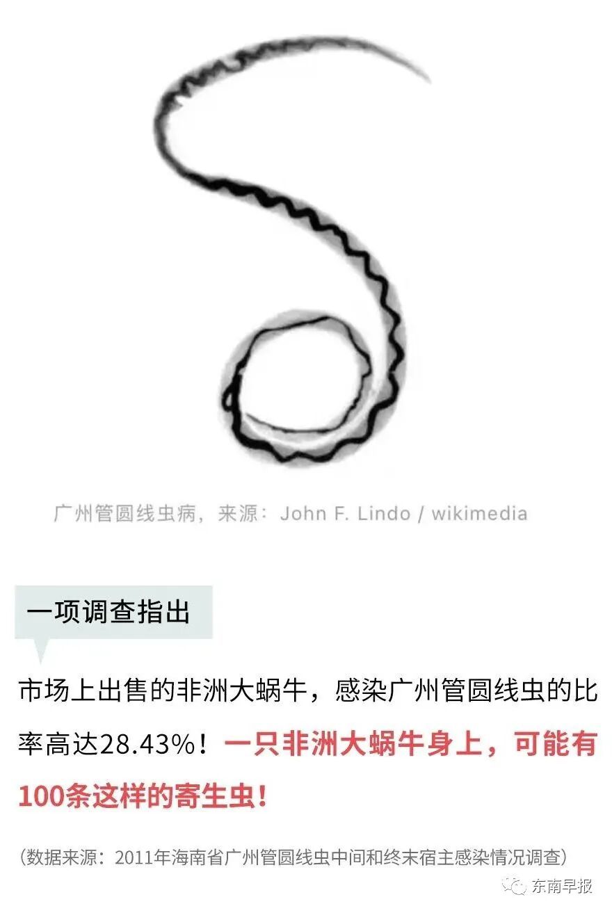 注意!下雨后看到它,千万别碰 注意!下雨后看到它,千万别碰