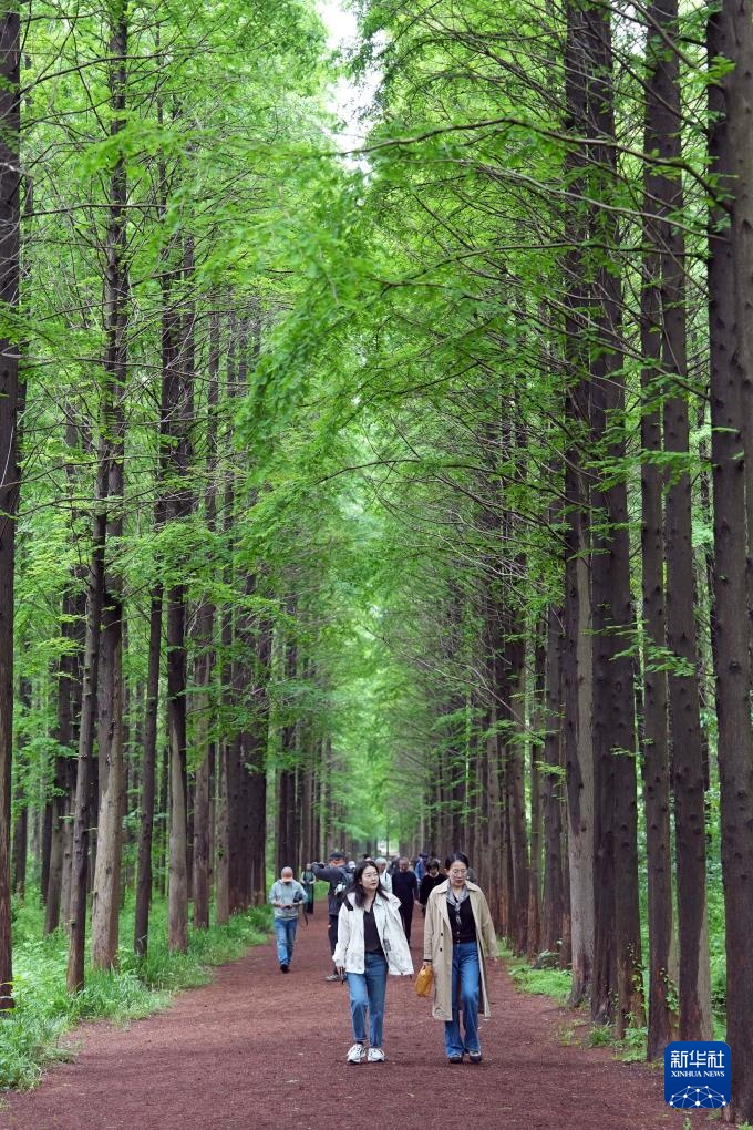 山东日照：全域综治打造美丽海湾